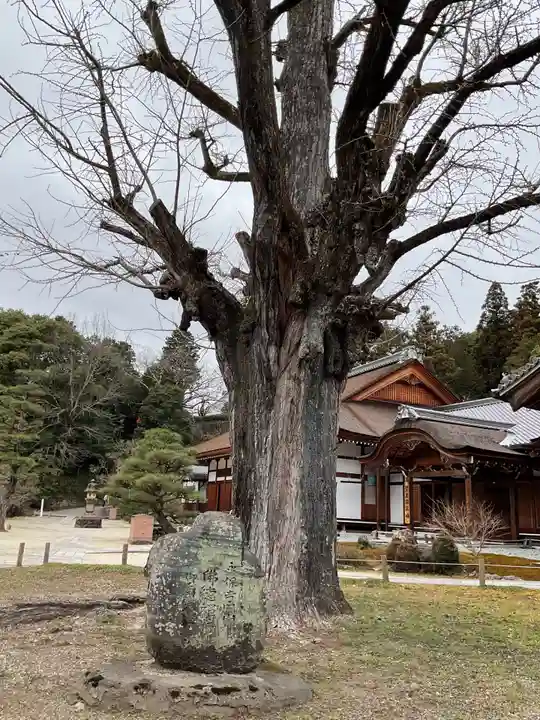 永保寺(岐阜県)