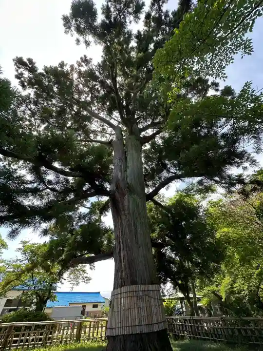 日高神社(岩手県)