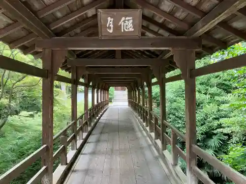 東福禅寺（東福寺）(京都府)