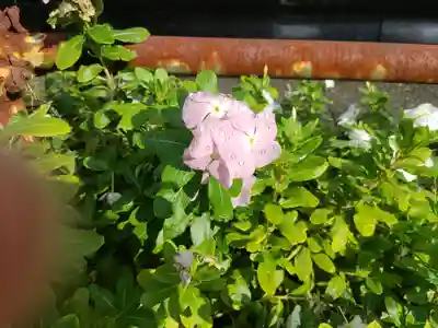 徳星寺(埼玉県)