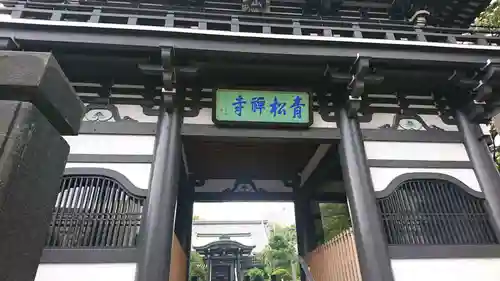 青松寺の山門