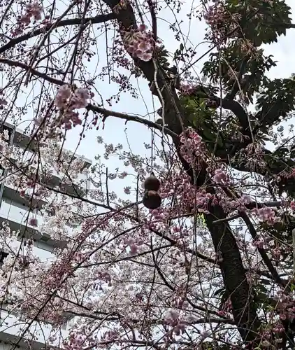 秋葉神社の自然