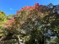 吉野水分神社(吉野町)の自然