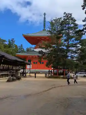 高野山金剛峯寺(和歌山県)