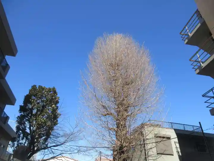御林稲荷神社(駒込天祖神社境外末社)(東京都)