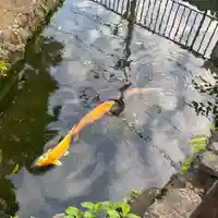 岩戸八幡神社(東京都)