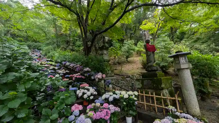 長谷寺(奈良県)