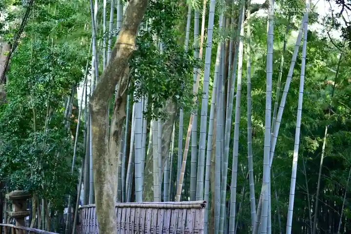 石清水八幡宮(京都府)
