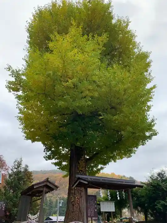 浅岸薬師神社のその他建物