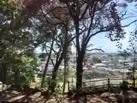 白鬚神社(埼玉県)