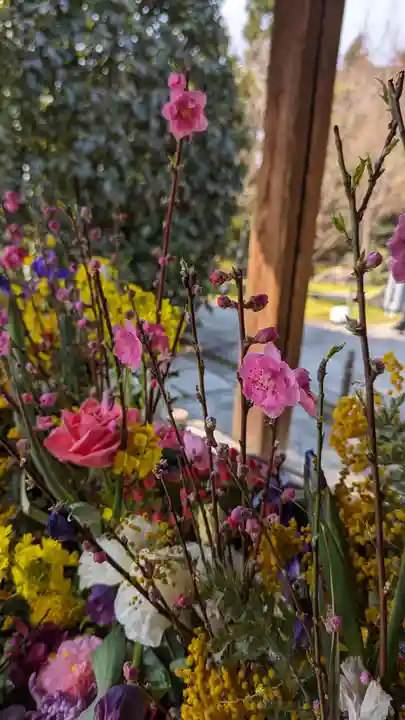 勝林寺(京都府)