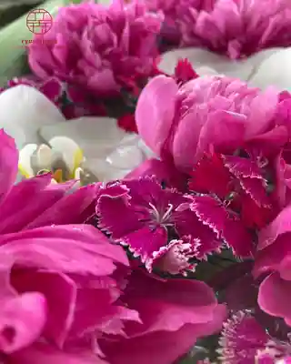 立志神社(滋賀県)