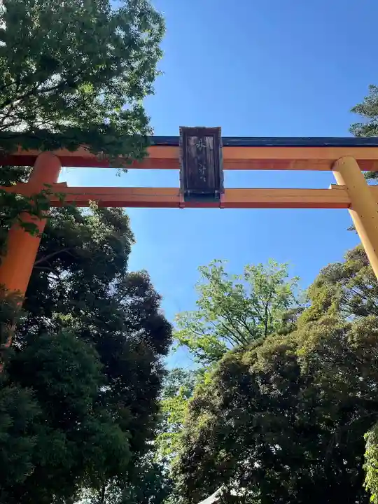 川越氷川神社(埼玉県)