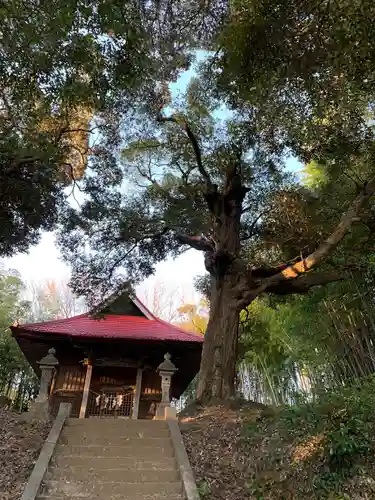 皇産霊神社の本殿・本堂