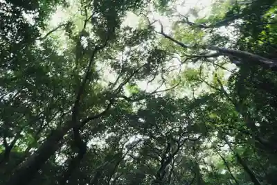 嚴島神社(山口県)