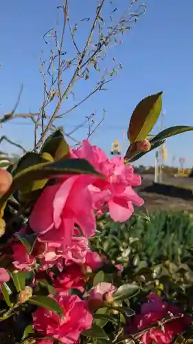 星大明社(愛知県)