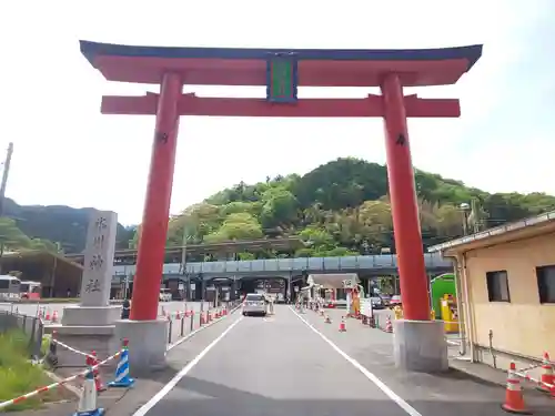 高尾山麓氷川神社の鳥居