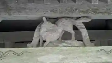 白山神社(滋賀県)