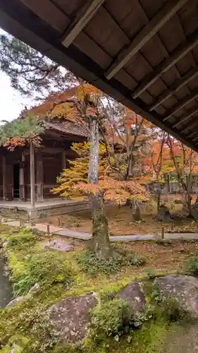 蓮華寺（洛北蓮華寺）(京都府)