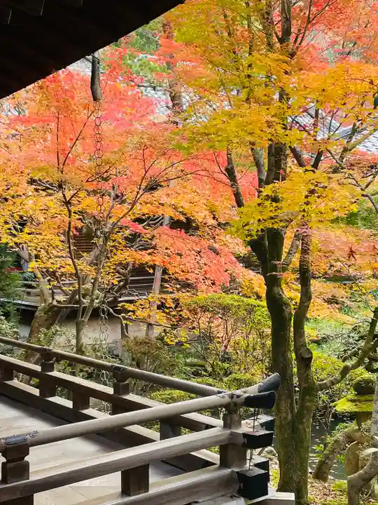 禅林寺(永観堂)(京都府)