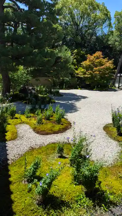 廬山寺(廬山天台講寺)(京都府)