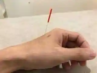 遠照山 光明寺（尼崎大仏）(兵庫県)