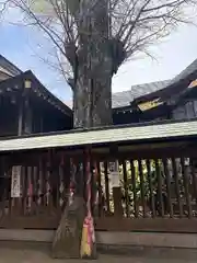 麻賀多神社(千葉県)