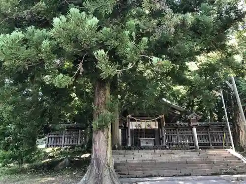 諏訪大社上社前宮の本殿・本堂