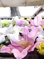 鳩森八幡神社の手水舎