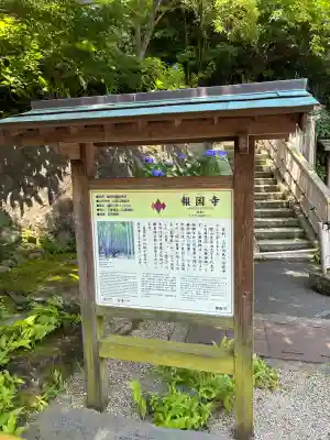 報国寺(神奈川県)