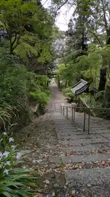 椎尾神社(大阪府)