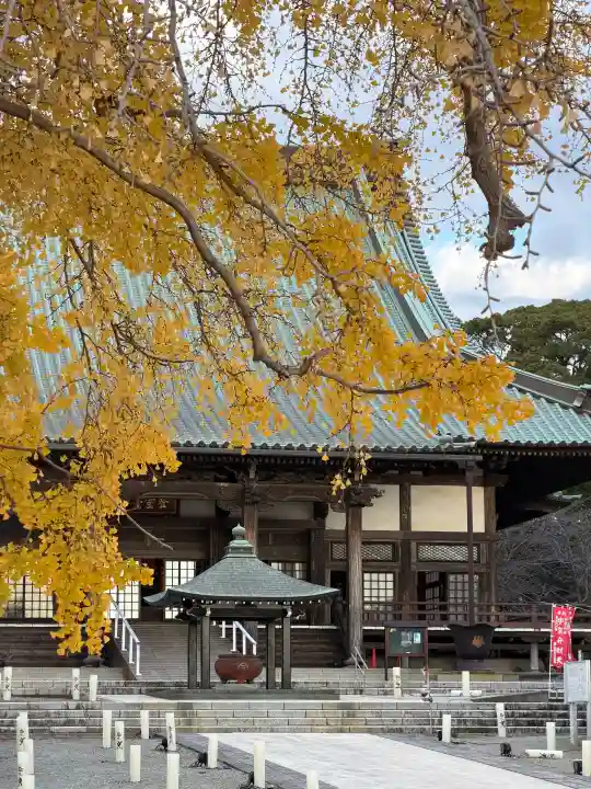 時宗総本山 遊行寺(正式:清浄光寺)(神奈川県)