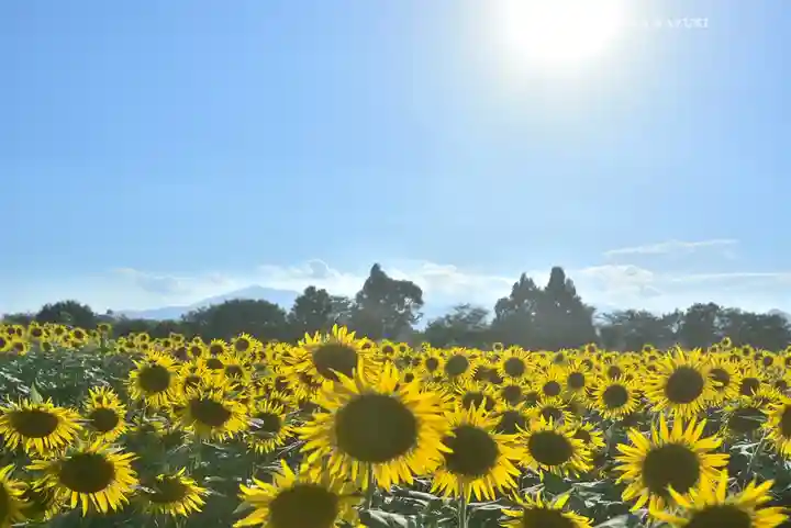 座間神社の自然