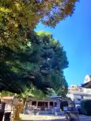 白山神社(東京都)