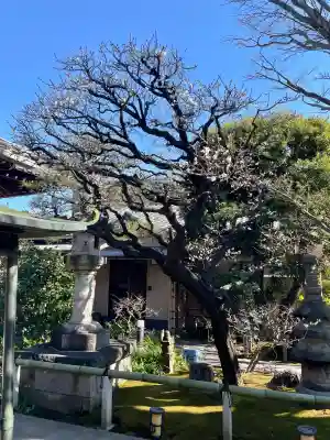 常性寺(東京都)