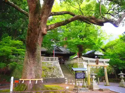 事任八幡宮の自然