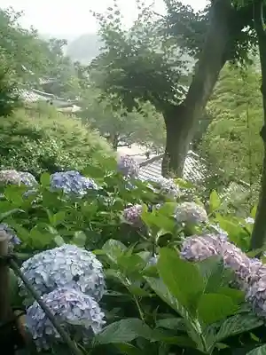 長谷寺のその他建物