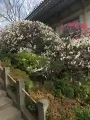 東長谷寺　薬王院(東京都)