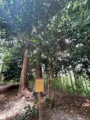 中村神社(福島県)