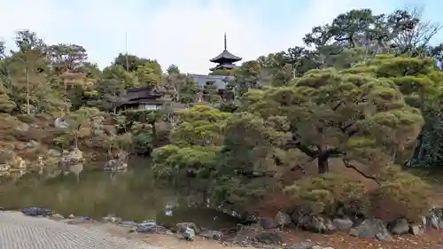 仁和寺の庭園