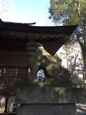 常陸國總社宮の狛犬