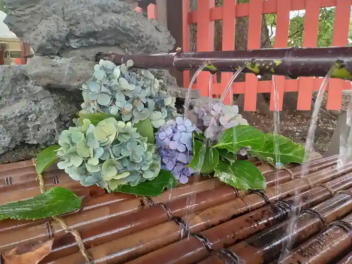 百舌鳥八幡宮(大阪府)