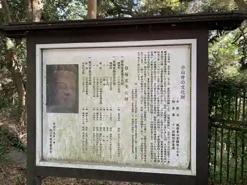 宝樹院小山寺(茨城県)