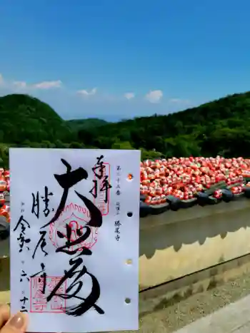 勝尾寺の御朱印 2026年06月