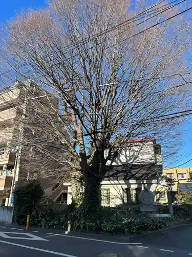 小野神社の自然