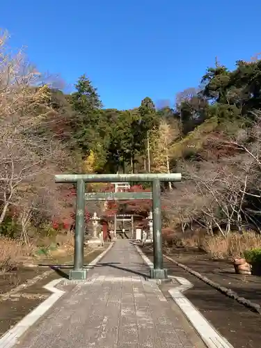 半僧坊大権現の鳥居