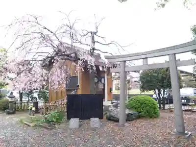 青嶋八幡宮神社(静岡県)