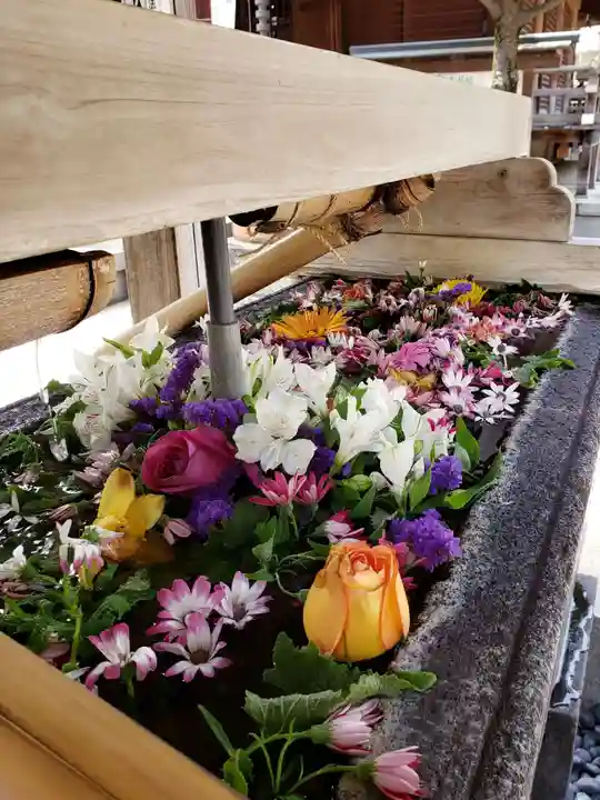 鳩森八幡神社(東京都)