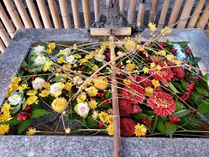 高円寺氷川神社(東京都)