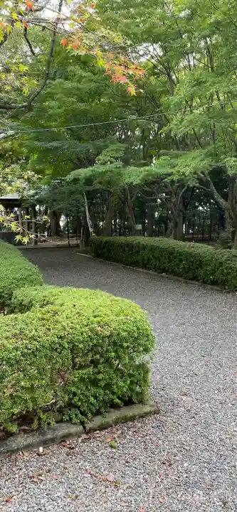 縣居神社の自然